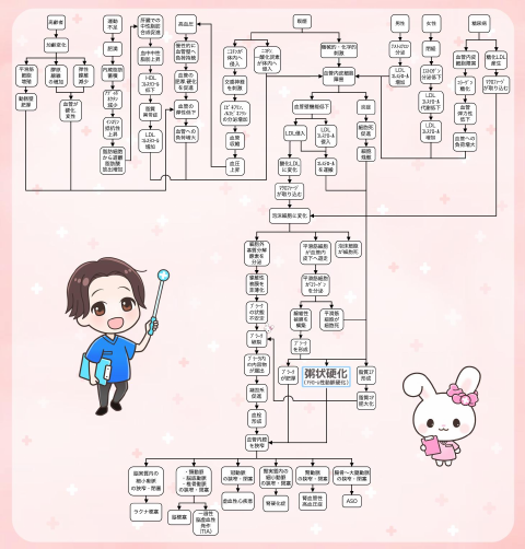 アテローム性動脈硬化（粥状硬化）