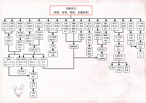 加齢変化（感覚器）