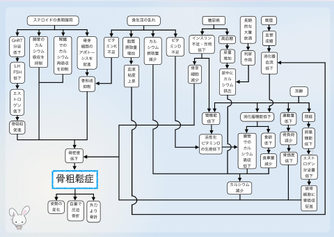 骨粗鬆症