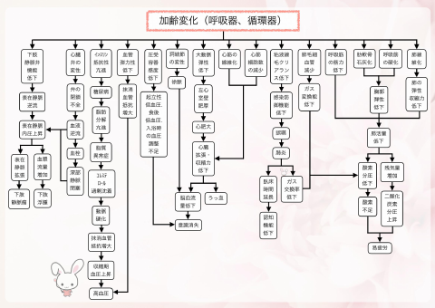 老年期 関連図セット②(5枚)