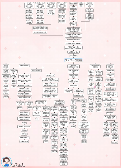 ファロー四徴症