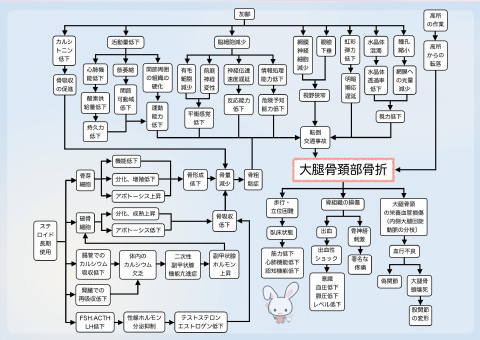 大腿骨頸部骨折