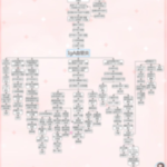 IgA血管炎
