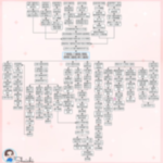 口唇裂・口蓋裂　関連図